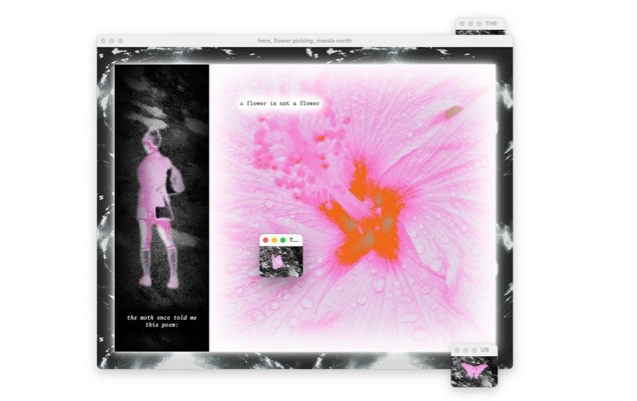 Thumbnail of www-instagram-com-p-dm66xshuavq 2