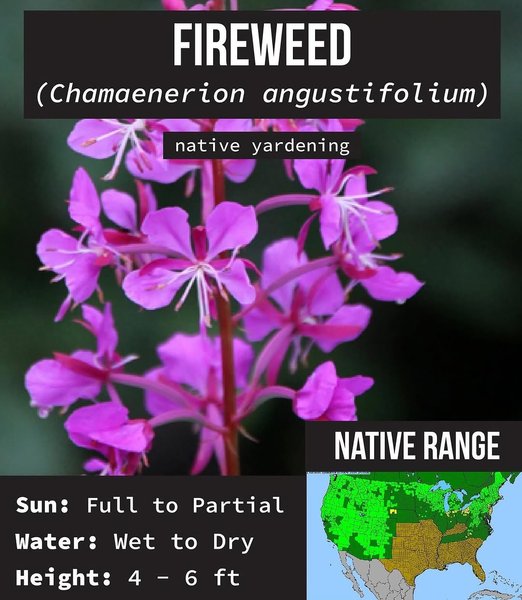Thumbnail of p-dnd5tcyuddb-da81c01261ee4606 16