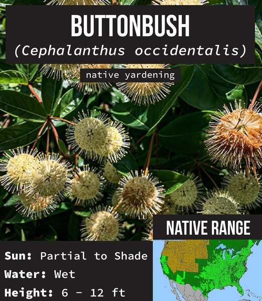 Thumbnail of p-dnd5tcyuddb-da81c01261ee4606 5