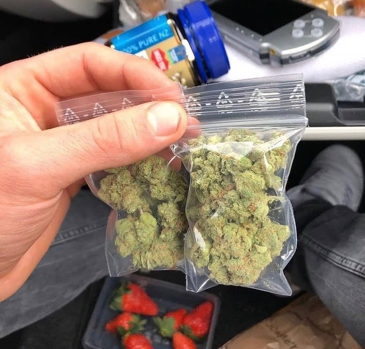 Thumbnail of www-x-com-stonersrus-status-1867328575394947326-36ac935118c94276