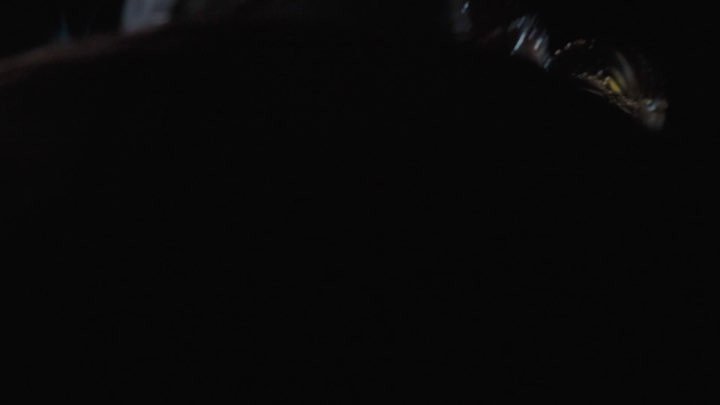 Thumbnail of p-bufbygzgclx-36b30e2a441649bb 2