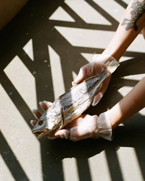 Thumbnail of b-eudcwpxa6-36d3b9ab6ff34102 2