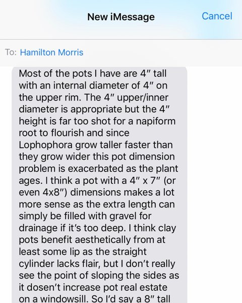 Thumbnail of p-colvoornyzk-36d671fa9d9a471f 5