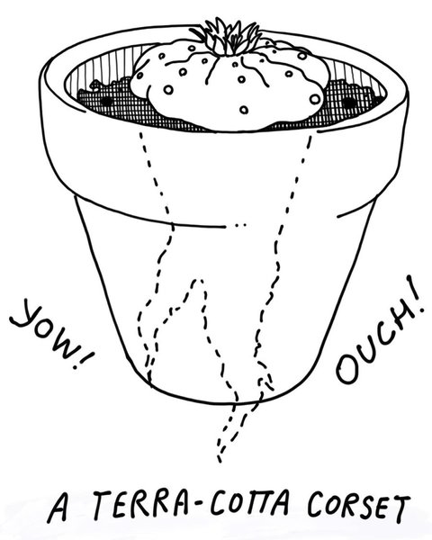 Thumbnail of p-colvoornyzk-36d671fa9d9a471f 7