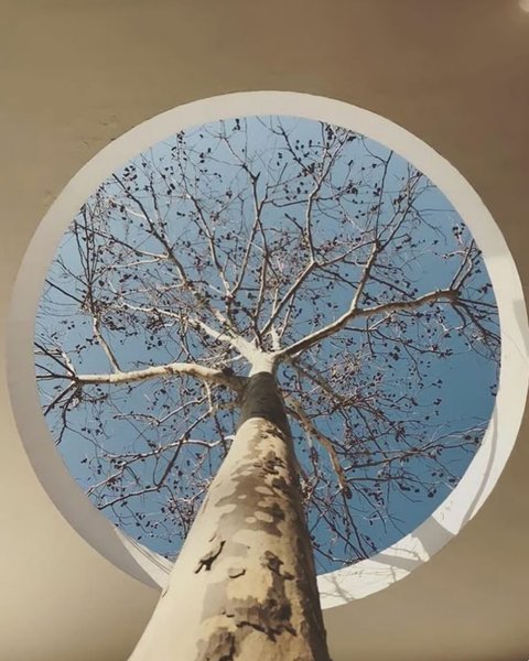 Thumbnail of www-instagram-com-p-dnjzy-lpuu1 1