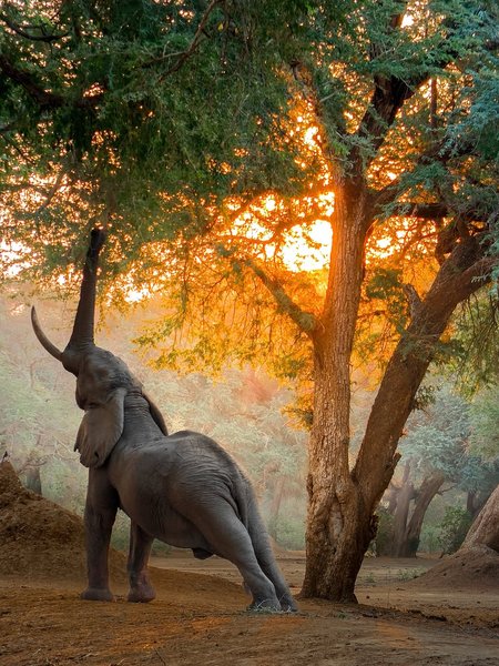 Thumbnail of www-instagram-com-p-dn17rn5qo1t 0