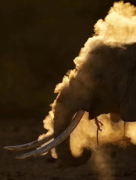 Thumbnail of www-instagram-com-p-dn17rn5qo1t 1