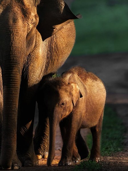 Thumbnail of www-instagram-com-p-dn17rn5qo1t 10