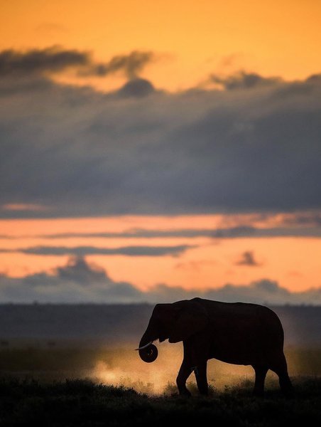 Thumbnail of www-instagram-com-p-dn17rn5qo1t 11