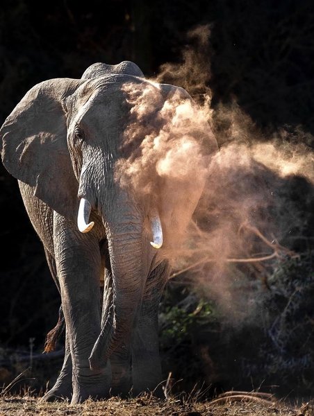 Thumbnail of www-instagram-com-p-dn17rn5qo1t 13