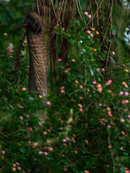 Thumbnail of www-instagram-com-p-dn17rn5qo1t 14