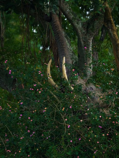 Thumbnail of www-instagram-com-p-dn17rn5qo1t 15