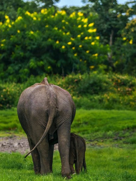 Thumbnail of www-instagram-com-p-dn17rn5qo1t 16