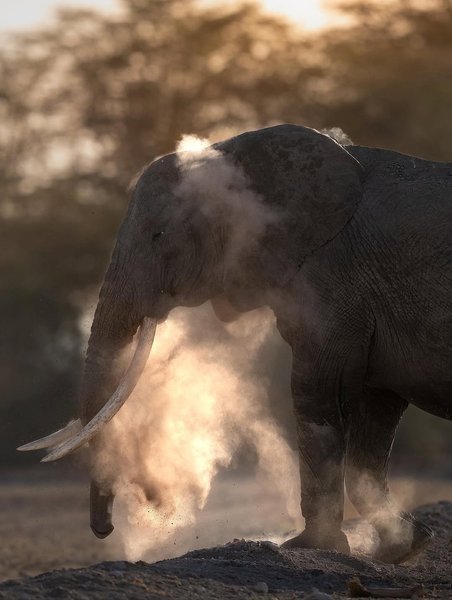 Thumbnail of www-instagram-com-p-dn17rn5qo1t 17