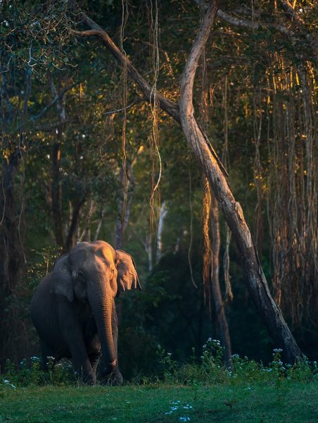 Thumbnail of www-instagram-com-p-dn17rn5qo1t 18