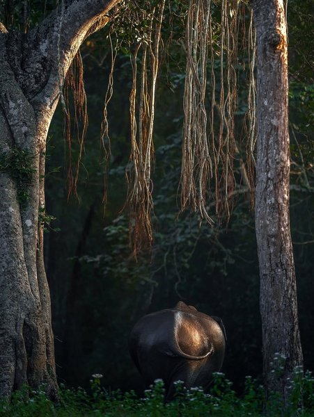 Thumbnail of www-instagram-com-p-dn17rn5qo1t 19