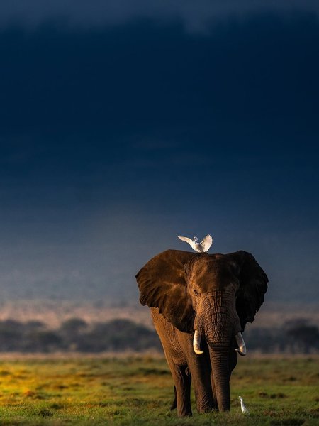 Thumbnail of www-instagram-com-p-dn17rn5qo1t 2