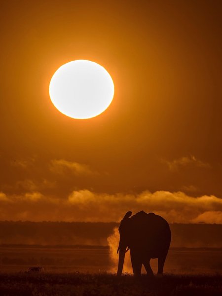 Thumbnail of www-instagram-com-p-dn17rn5qo1t 3