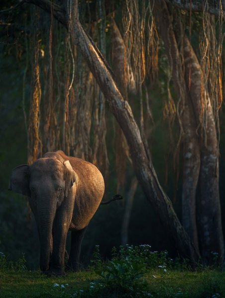 Thumbnail of www-instagram-com-p-dn17rn5qo1t 4