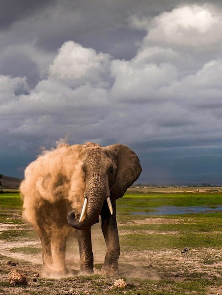 Thumbnail of www-instagram-com-p-dn17rn5qo1t 5