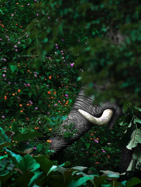 Thumbnail of www-instagram-com-p-dn17rn5qo1t 6