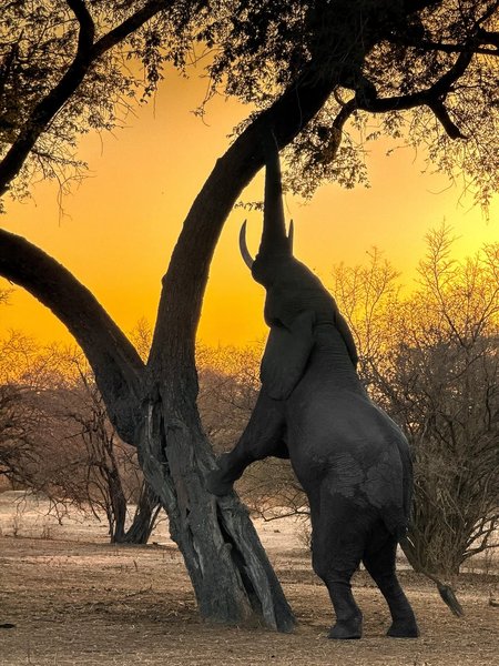 Thumbnail of www-instagram-com-p-dn17rn5qo1t 7