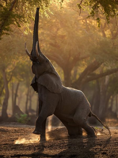 Thumbnail of www-instagram-com-p-dn17rn5qo1t 8