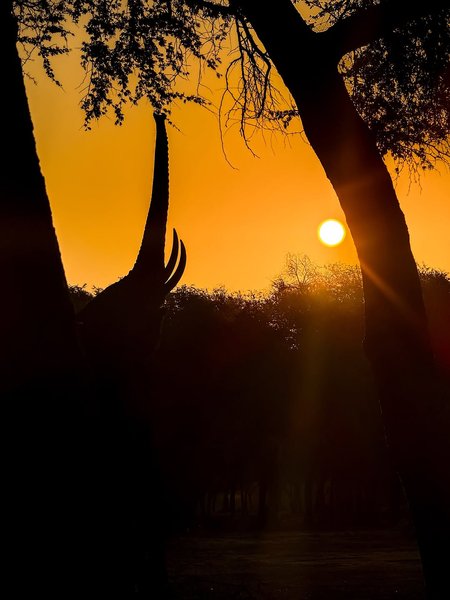 Thumbnail of www-instagram-com-p-dn17rn5qo1t 9