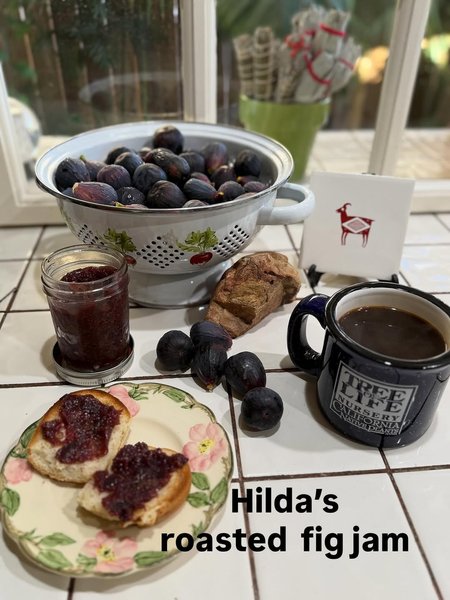Thumbnail of instagram-66aaf51bc8d9444c 3