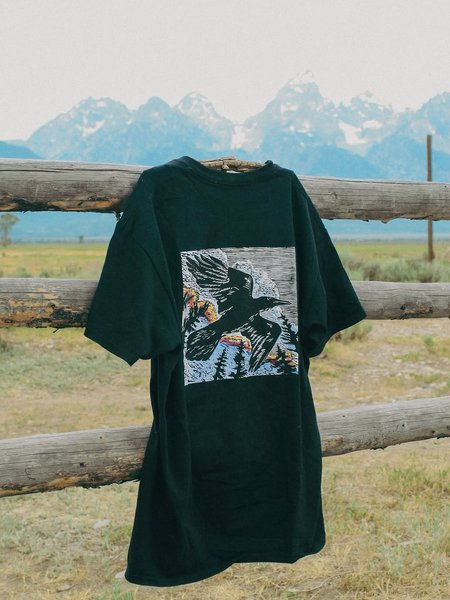 Thumbnail of www-instagram-com-p-dn-amg9dvqg 3