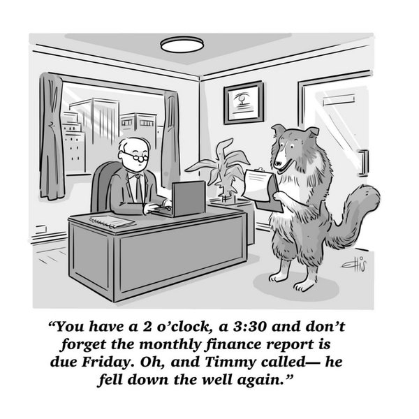 Thumbnail of p-di6bam1uslk-3712d78de9324856 2