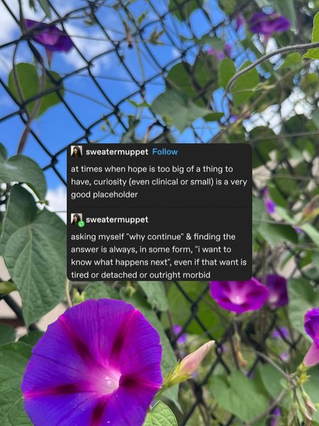 Thumbnail of www-instagram-com-p-dov4nj8dhd5 3