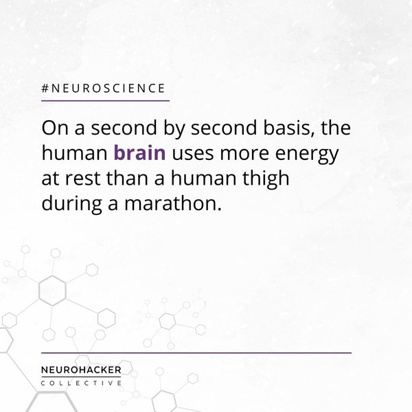 Thumbnail of p-cz43phzjpsg-37187cbfa6684be8 0