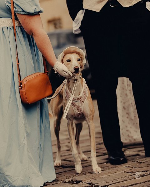 Thumbnail of www-instagram-com-p-do1yhqvdqom 10