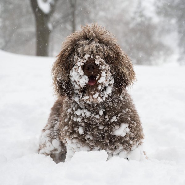 Thumbnail of ckxdda-nveq-3732bb17169c480a 0