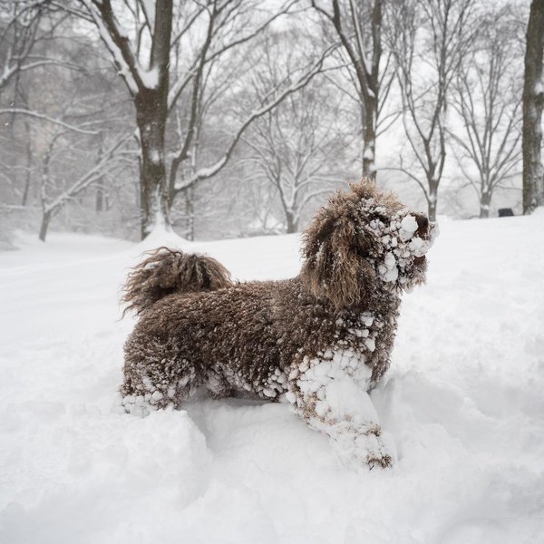 Thumbnail of ckxdda-nveq-3732bb17169c480a 1