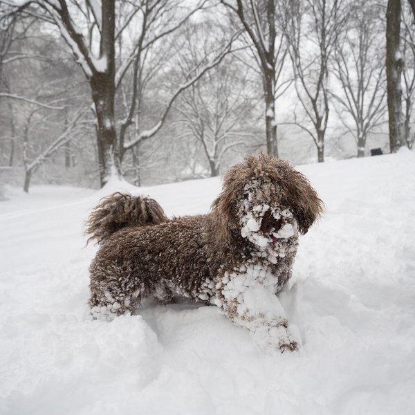 Thumbnail of ckxdda-nveq-3732bb17169c480a 2