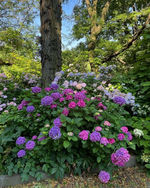 Thumbnail of p-c85m3jcuej-374d1acd239d4217 6