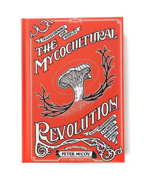 Thumbnail of p-cpbo2tlswvu-374f4d2f7e2e48ee 0