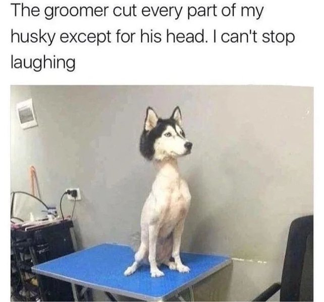 Thumbnail of cjavd-ozvd-3755c2de696445c7 3