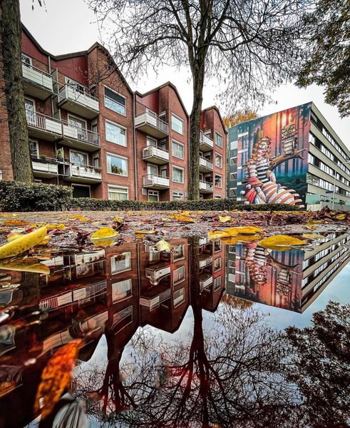 Thumbnail of p-czkfursiiof-375cd4fe20cf46ef 7