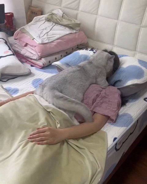 Thumbnail of p-cy3znkypr0i-3782e18d38774b97 0