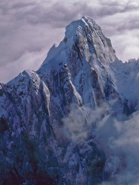 Thumbnail of dmlfhk-shzu-37a9992b9203465f 0