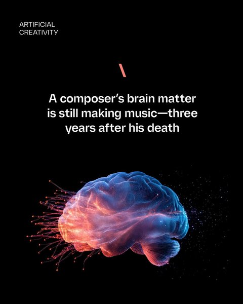 Thumbnail of p-djyeuiwpip1-37b3646fb0884d80 0