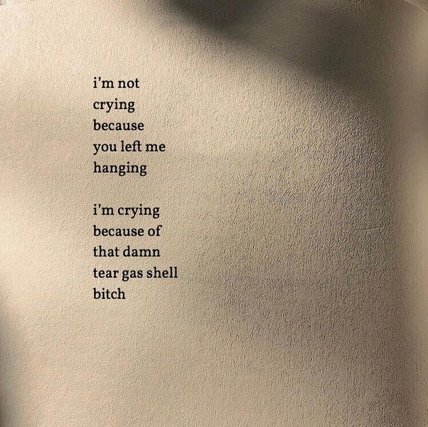 Thumbnail of p-b6lzveanqsa-37bf4741c9554d2d 2