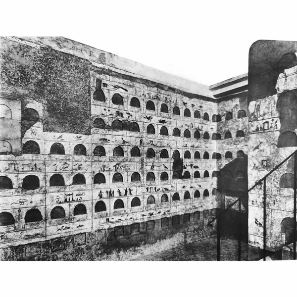 Thumbnail of p-cpcffwusvg1-381a6377864c4e4f 1