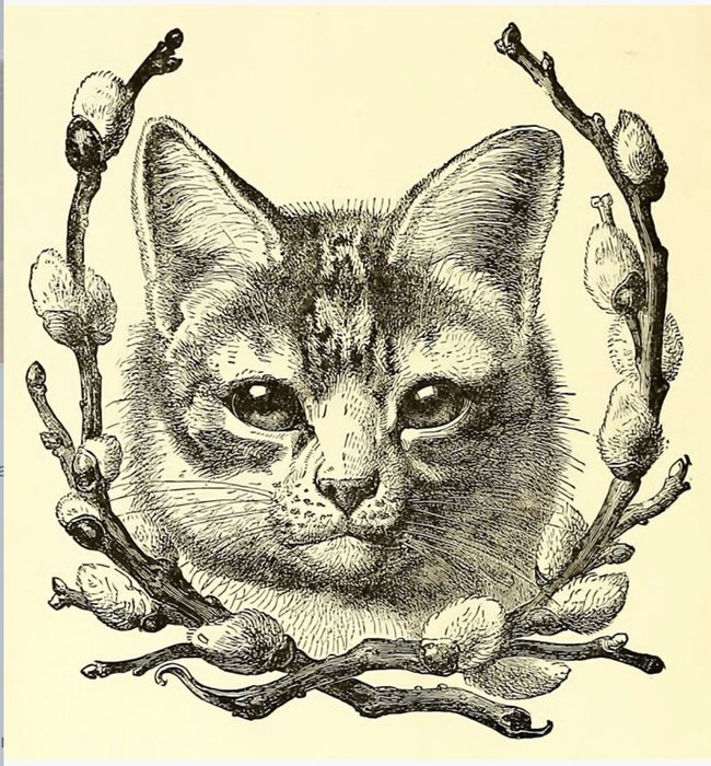 Thumbnail of www-x-com-karenleestreet-status-1638177637393899521-3824ebee4ba04fd9