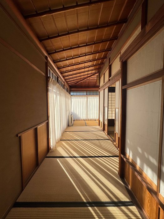 Thumbnail of www-x-com-levelsio-status-1991337027309346956-3841b5d707f54992