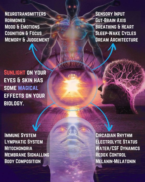 Thumbnail of www-x-com-jack-schroder-status-1915957187073171570-384457177ca3424e