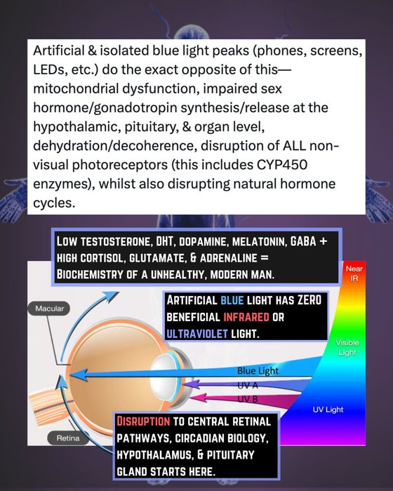 Thumbnail of www-x-com-jack-schroder-status-1915957187073171570-384457177ca3424e